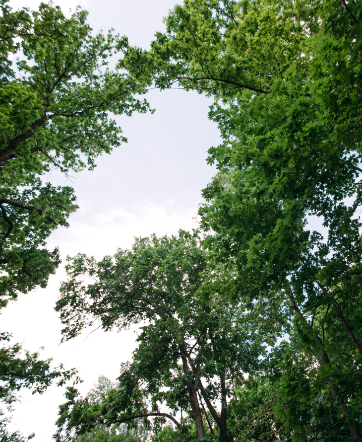 Аэротерапия